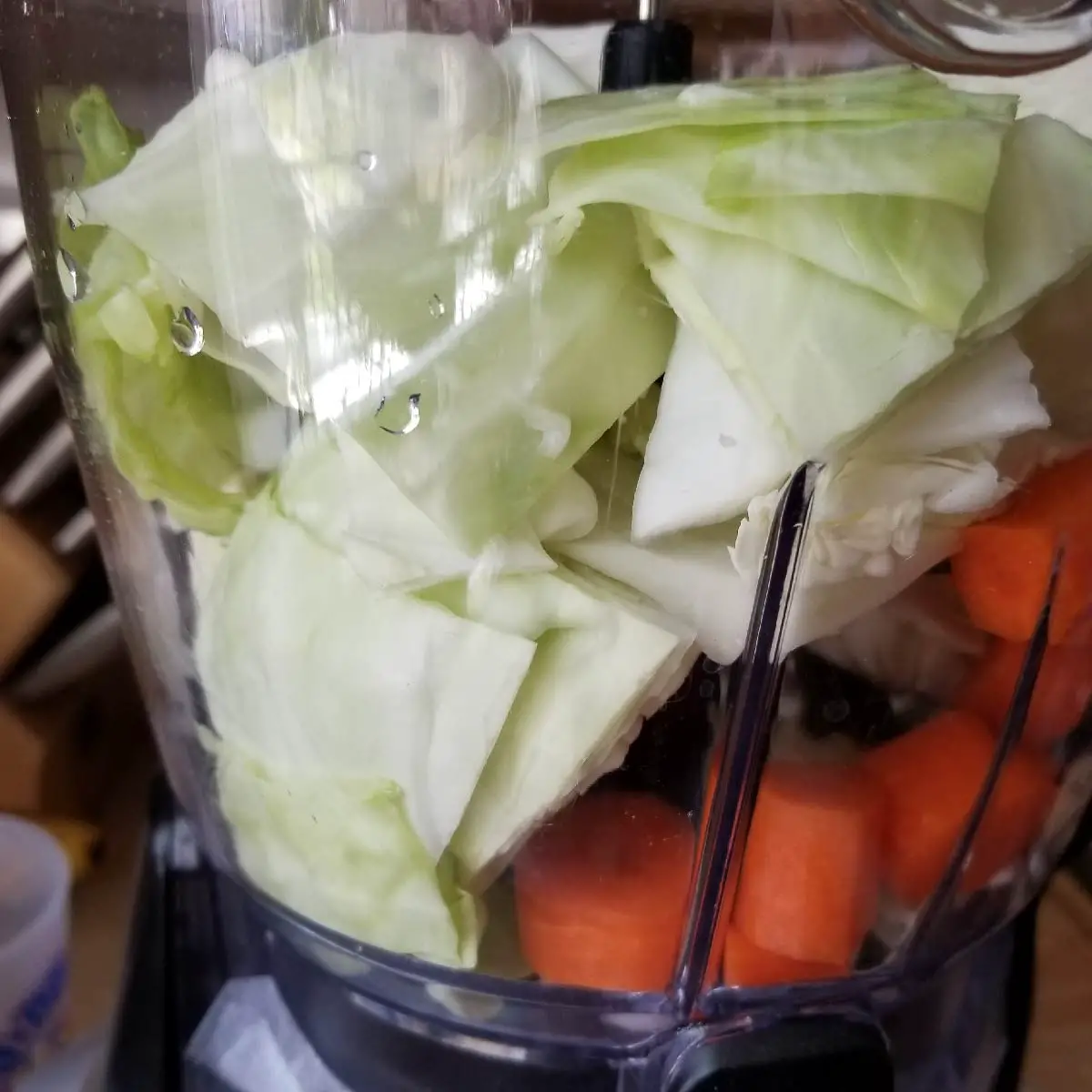 Cabbage pieces and carrot chunks in the food processor.