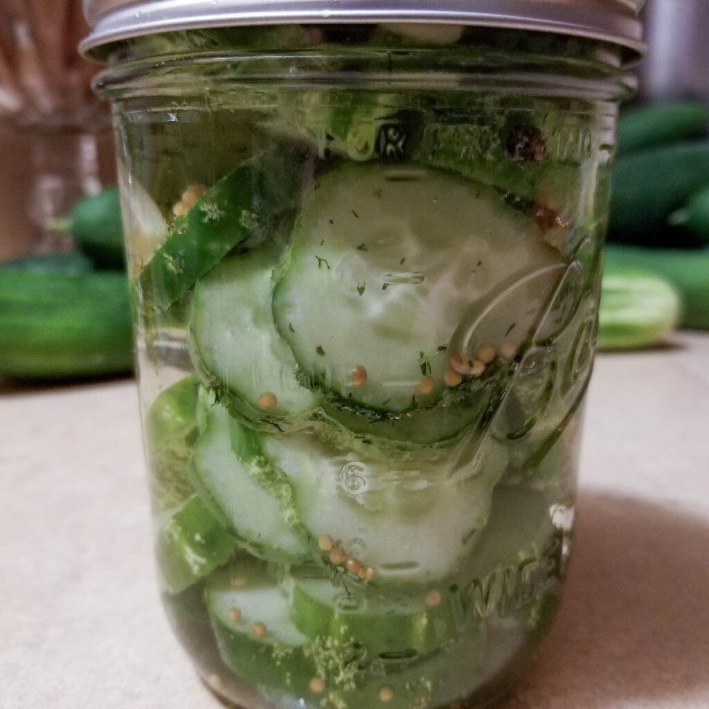 Refrigerator dill pickles