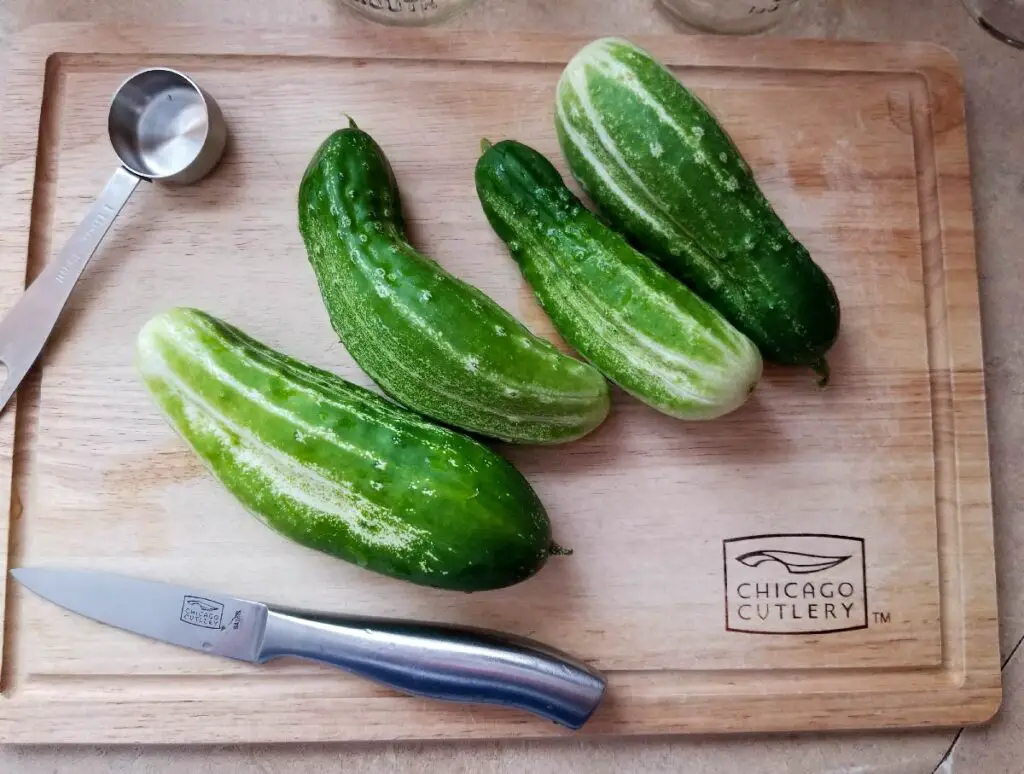 Pickling cucumbers on the cutting board before being cut into slices