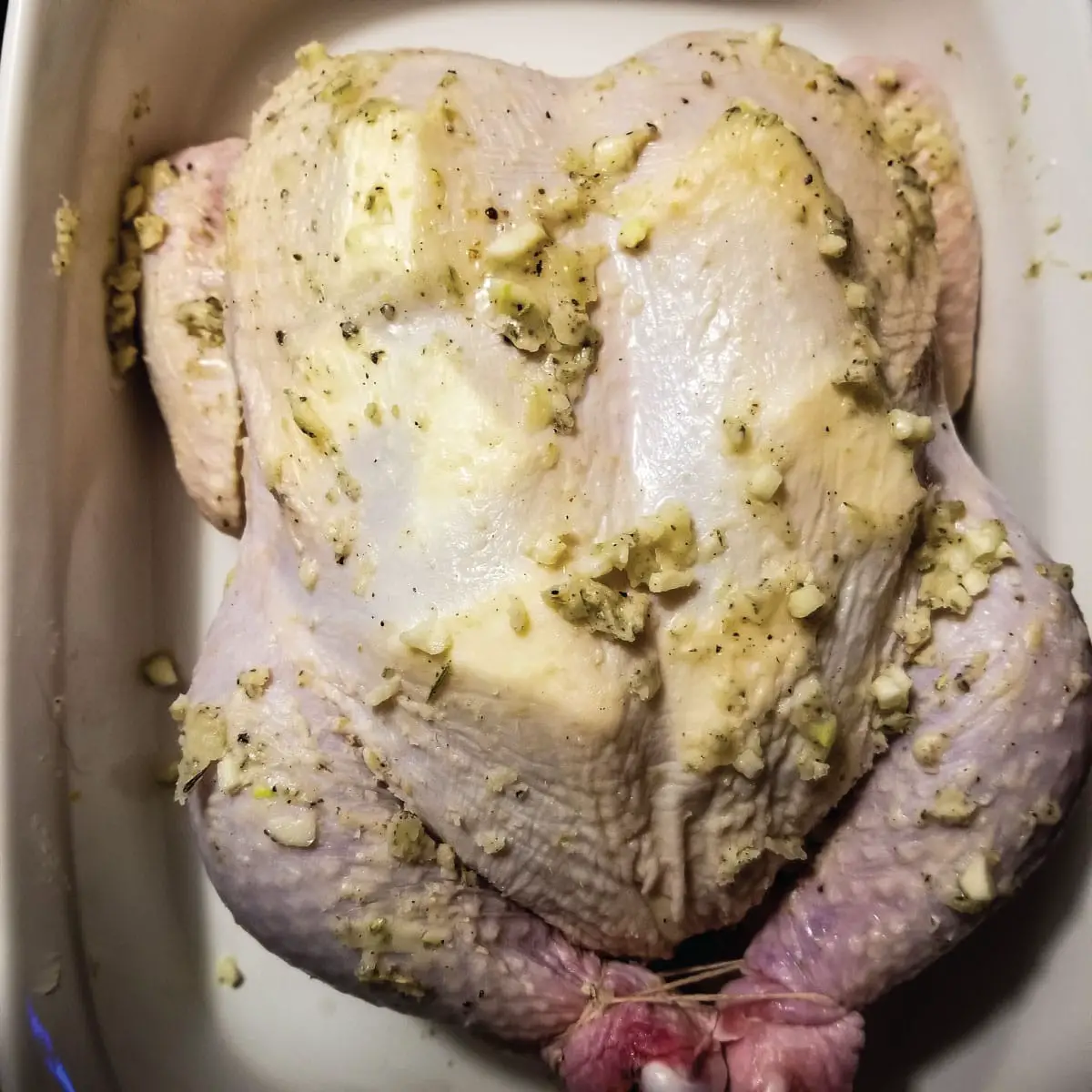 Chicken in a baking dish with seasonings and butter all over along the outside and butter pieces under the skin.