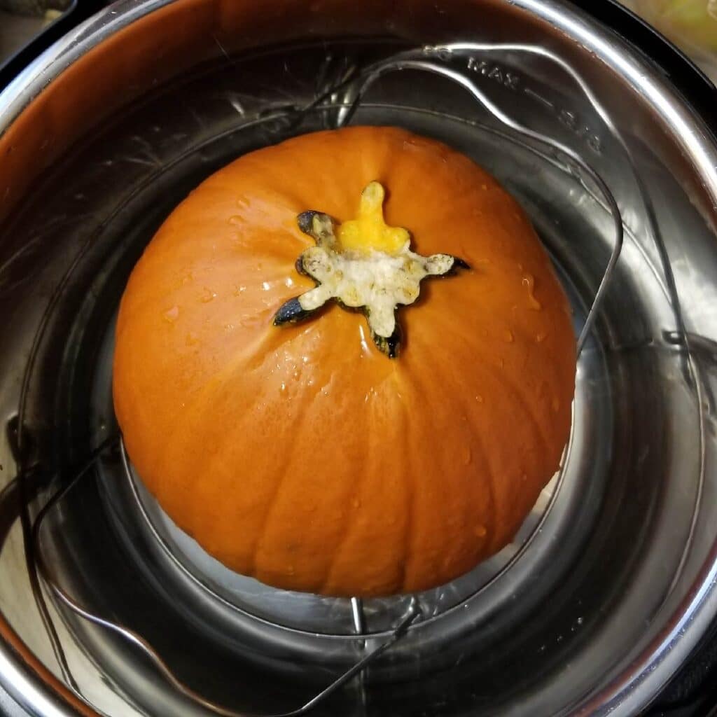 Pumpkin sitting in the inner pot on the trivet ready to be cooked.