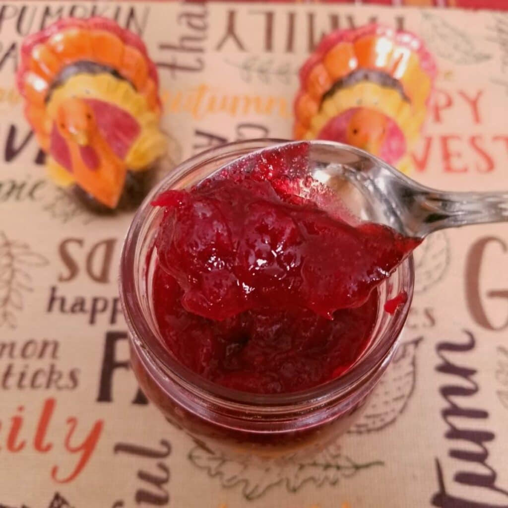 homemade cranberry sauce