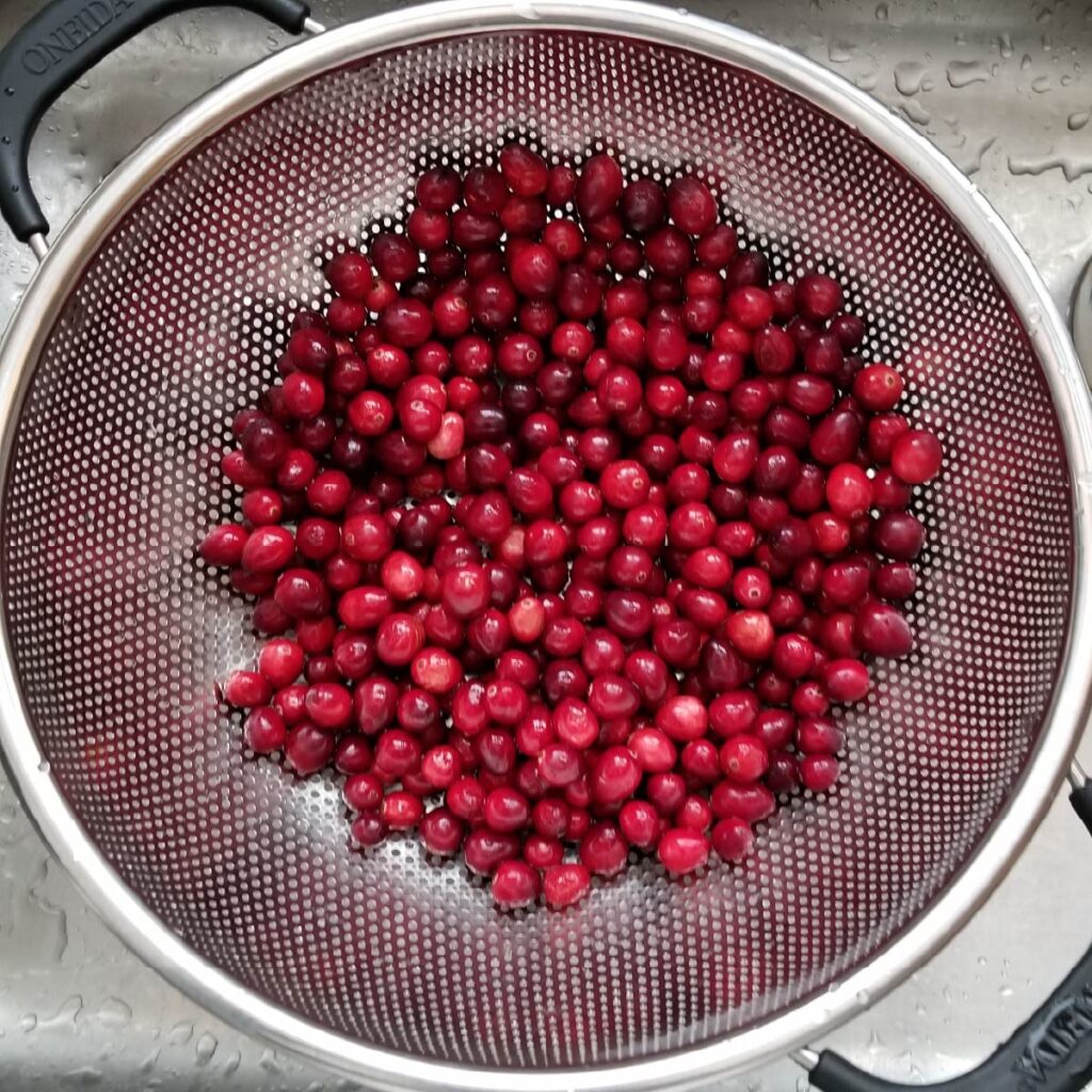 Fresh cranberries in a strainer after being rinsed 