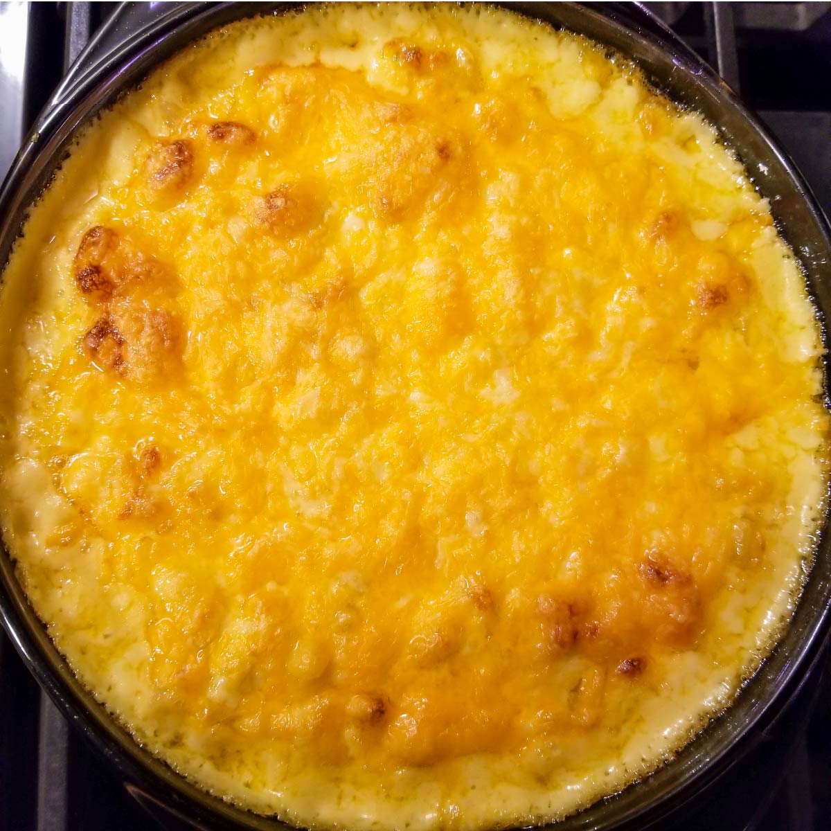 Mac and cheese out of the oven with a layer of cheese melted on top.