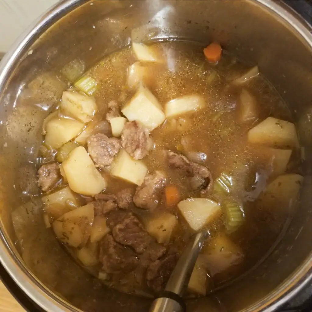 beef stew before thickening, looks more like soup