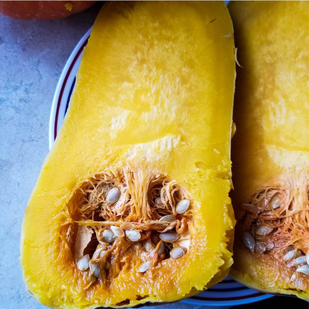 Butternut squash cut open to show the smaller amount of seeds inside the squash