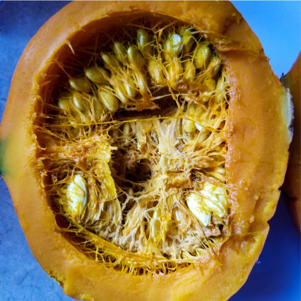 Red kuri squash cut open to show how many seeds are in the middle.