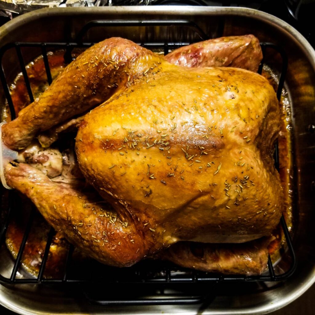 Turkey in a roasting pan just coming out of the oven