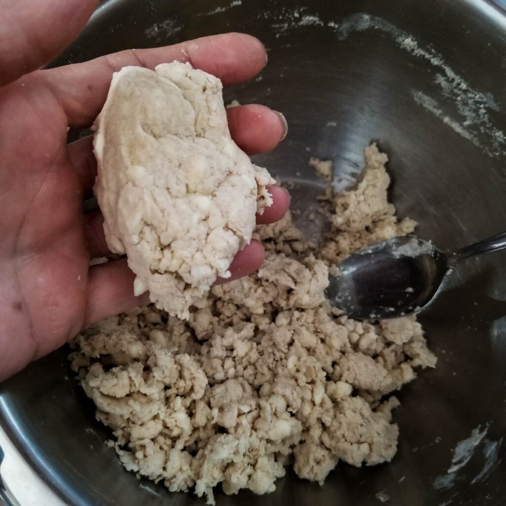 The pie dough here looks clumpy but in my hand I am bringing it together into a ball.