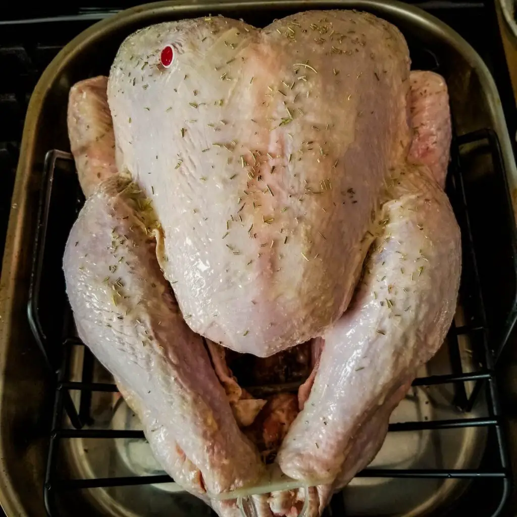Turkey in a roasting pan ready to go into the oven