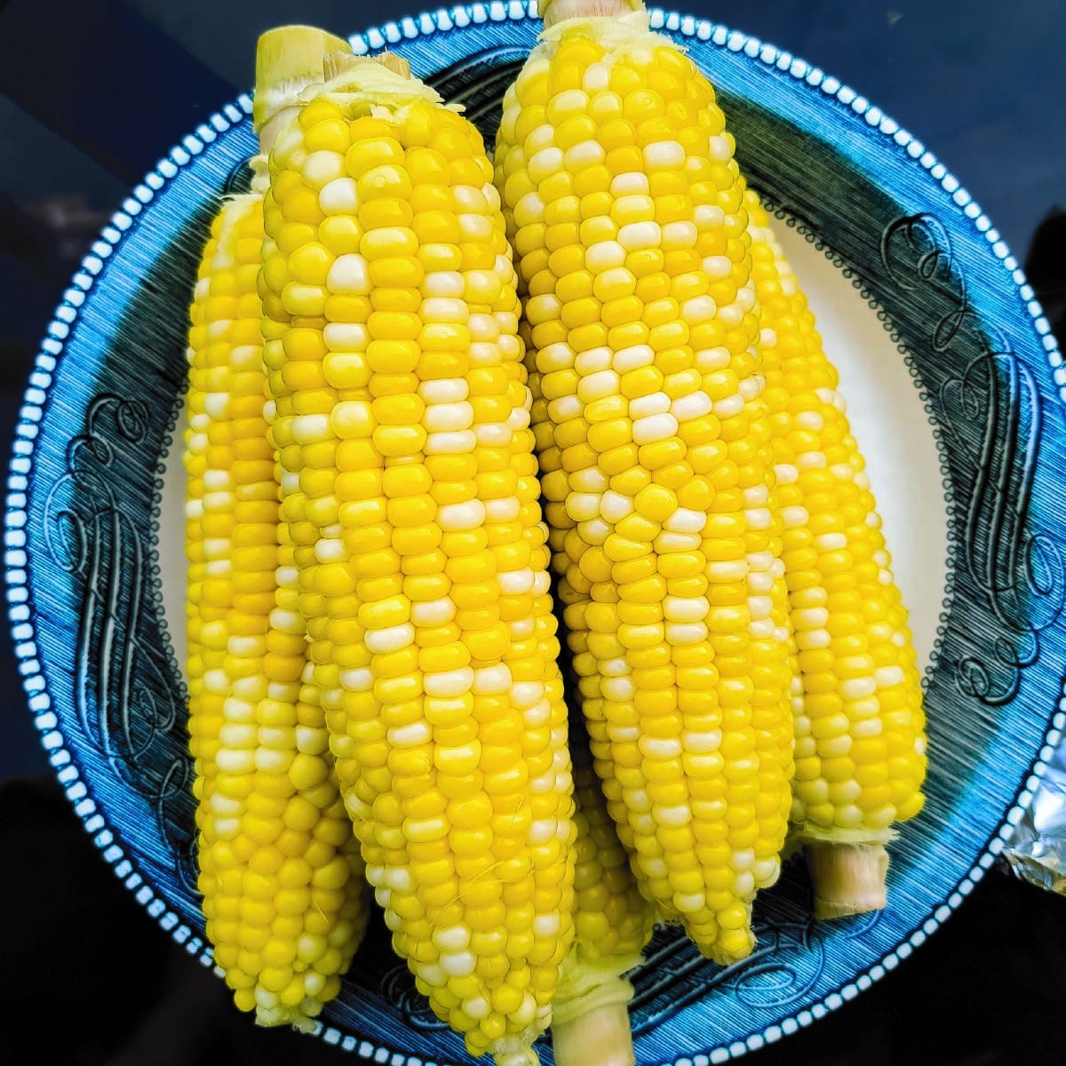 Ears of corn on the cob sitting in a dish after cooking ready to be served.