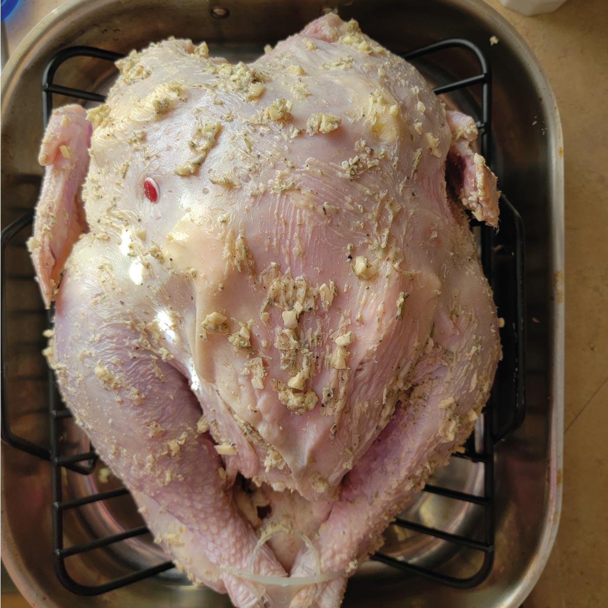 Turkey in a roasting pan with seasoning mix brushed all over and ready to go in the oven.