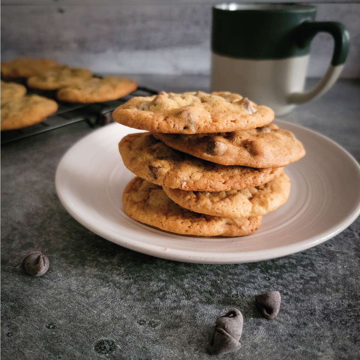 The Best Chocolate Chip Cookies