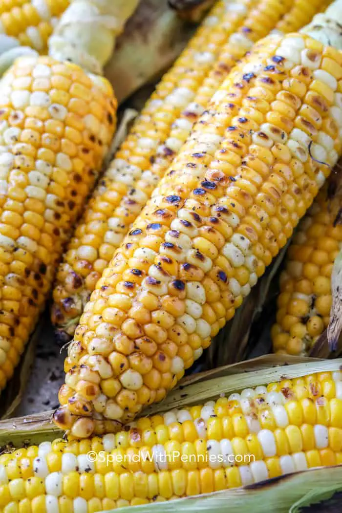 corn charred from being cooked on the grill ready to serve.