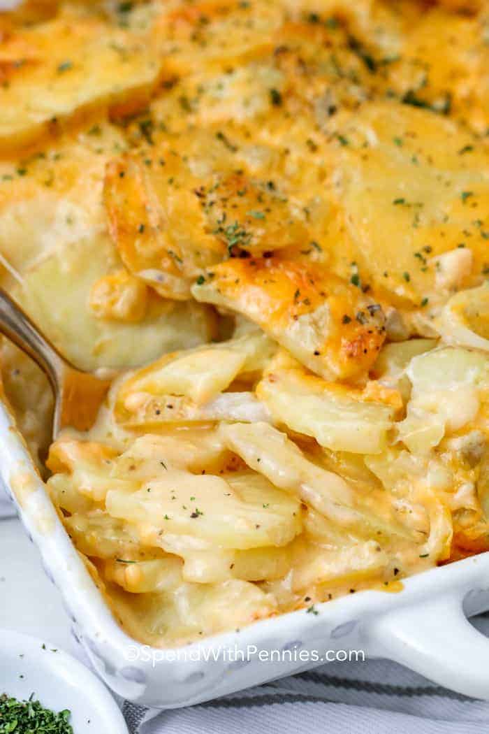 Cheesy scalloped potatoes in a baking dish ready to serve.