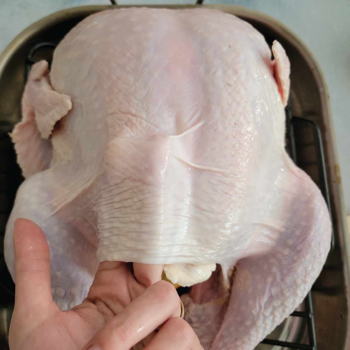 turkey in a roasting pan with fingers lifting the skin gently to put butter under the skin.