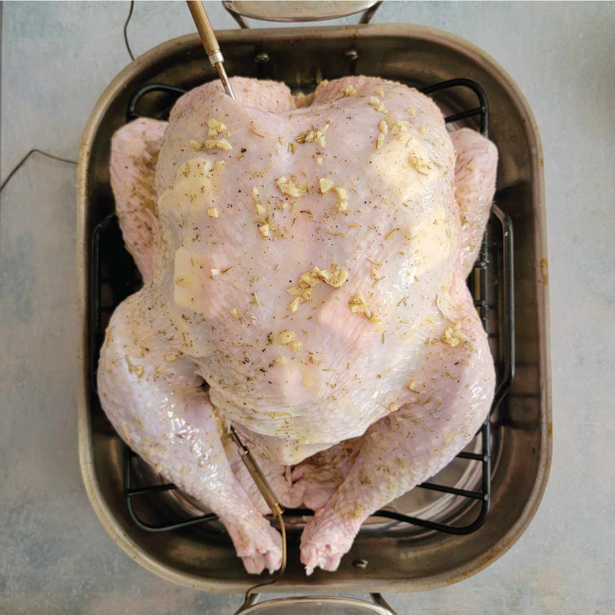 Turkey in a roasting pan with the seasoning all over and thermometer probes in the thigh and breast ready to bake.